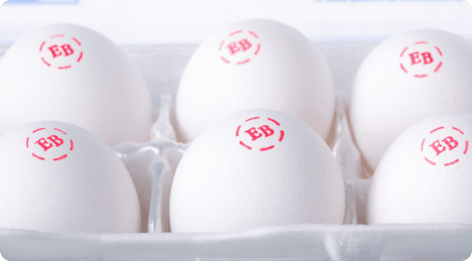 Eggs