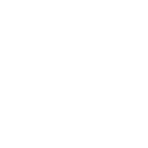 gdpr badge